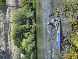Mainschwimmen Juni 2026